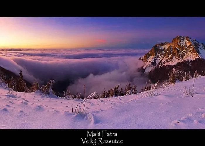 V Centre Ziliny 아파트 질리나